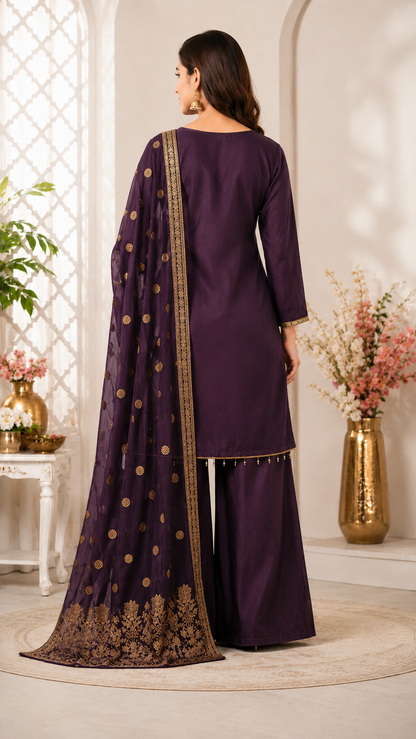 Premium Mirror Work Suit Set